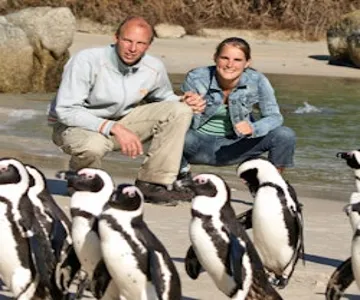 Boulders Beach & Cape Point: Half-Day Tour